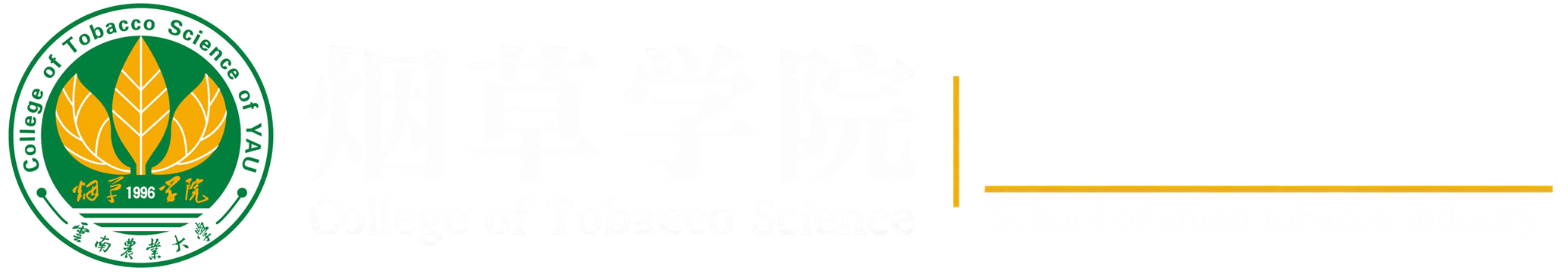 成人写真
